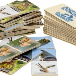 Houten Domino | The Comedy Wildlife | 28 Stukjes -bordspellen Winkel 550x353 2