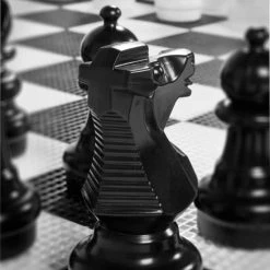 New Tuin Schaakspel, Tot 30 Cm Hoog, PVC UV Bestendig Inclusief Nylon Mat -bordspellen Winkel 550x825 6